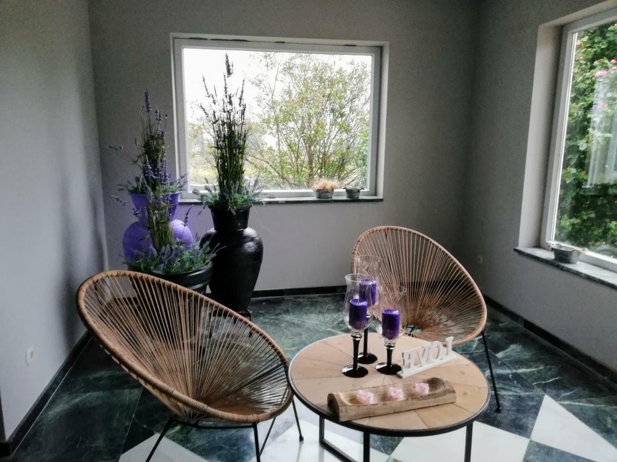 וילאנואבה דה ארוסה Villa Las Camelias מראה חיצוני תמונה